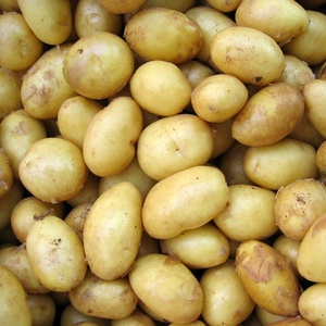 Pommes de terre, oignons et échalottes