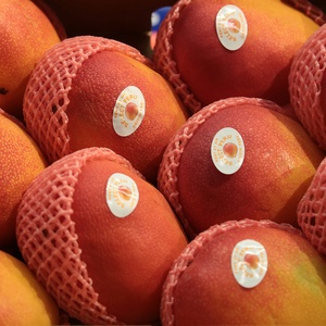 Fruits