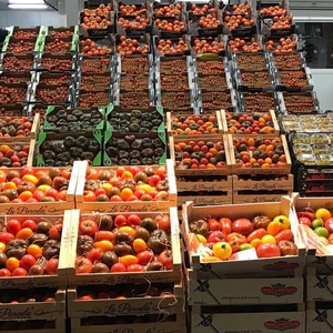 Tomates ratatouille